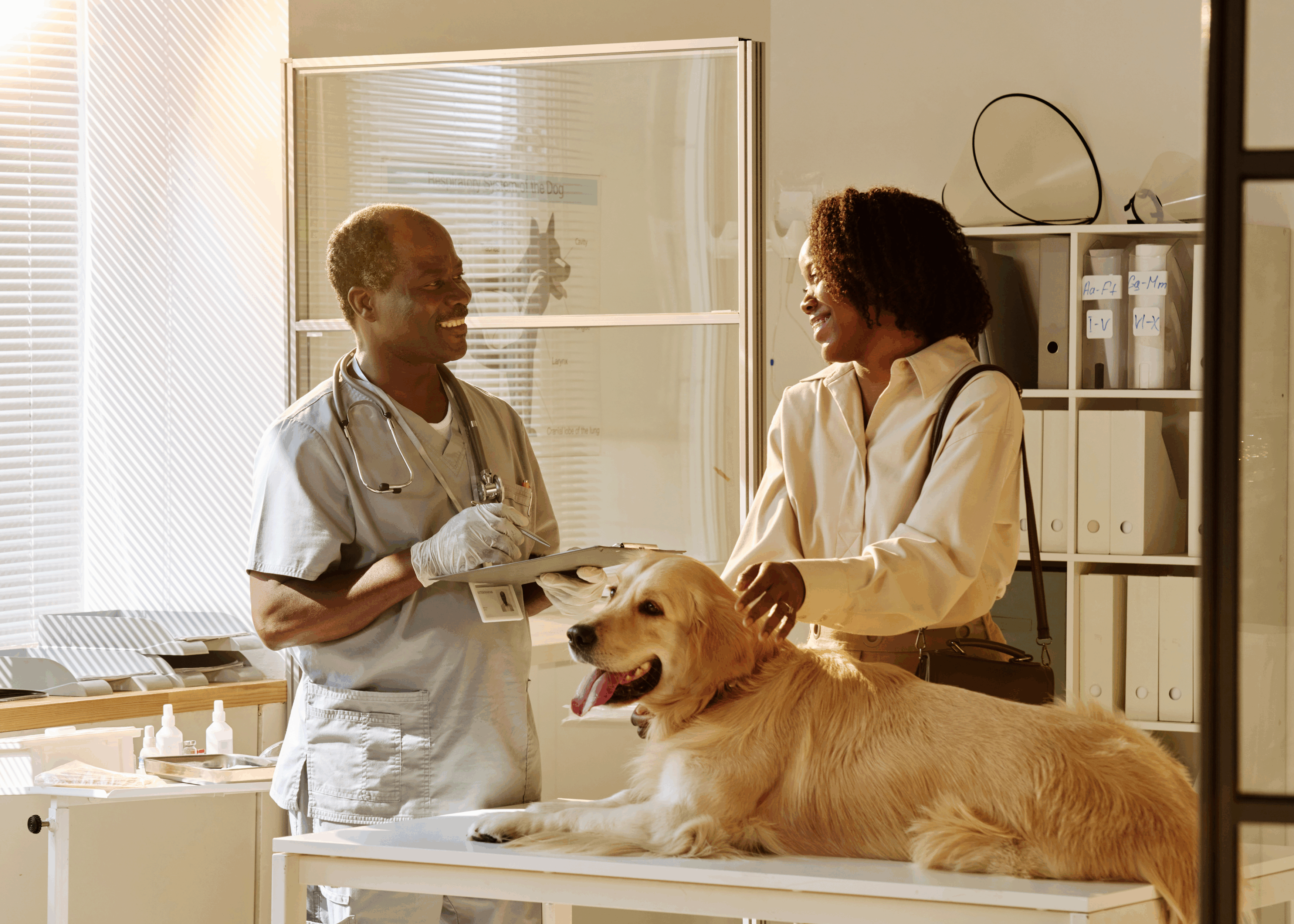 Untitled design 10 scaled - Veterinarians - First City Payments
