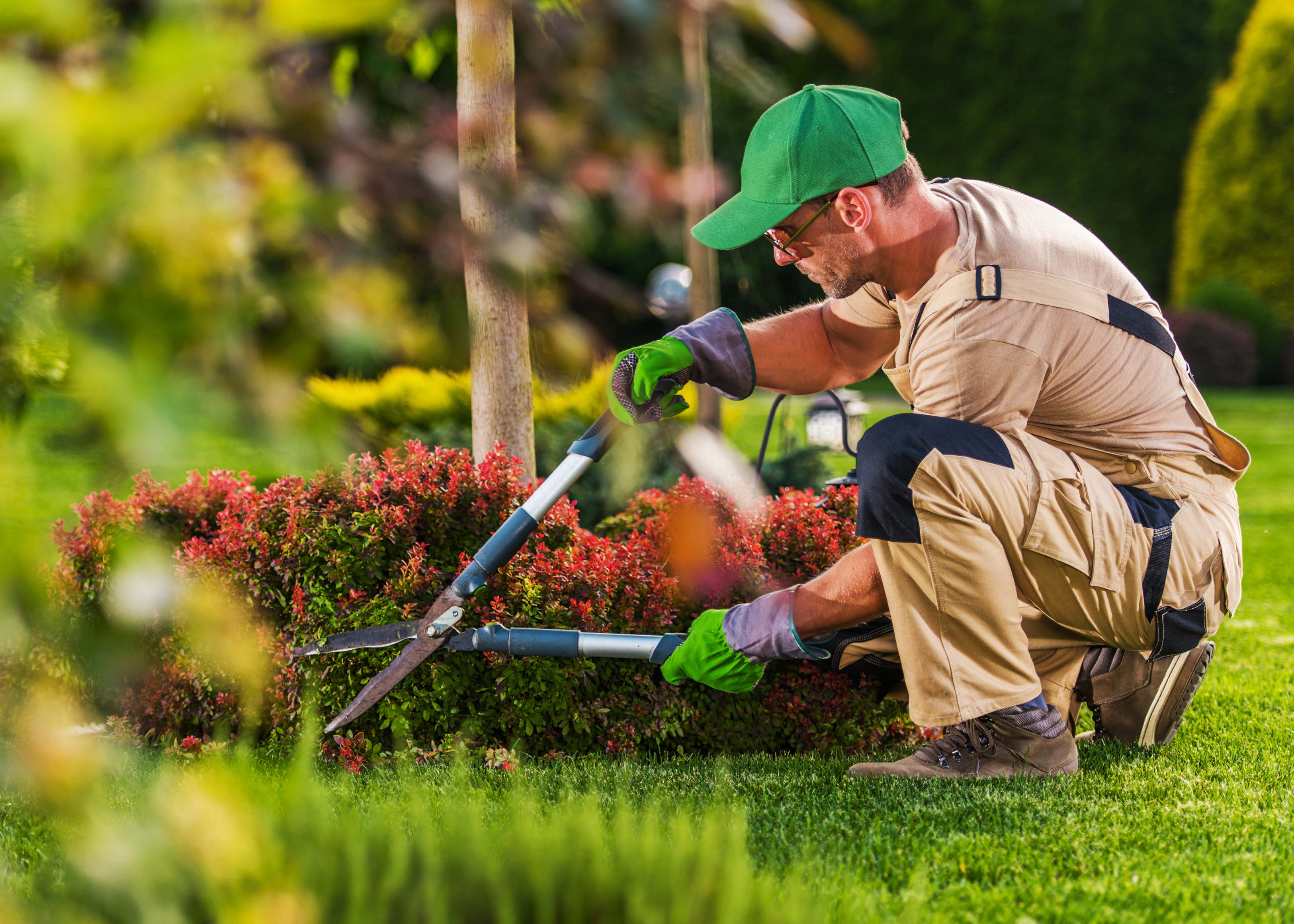 Untitled design 12 - Landscaping - First City Payments